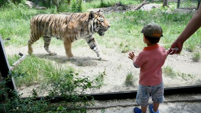 Усмивки, игри и приключения за малчуганите в зоопарка за 1 юни (СНИМКИ)