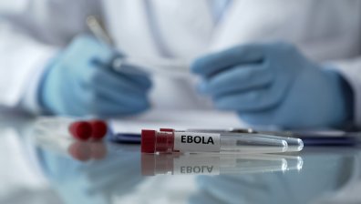 Ебола от Африка стряска Европа - вирусът тръгва от животни, няма одобрени лекарства и ваксини