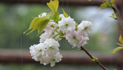 Времето в сряда: Дъжд, мокър сняг в планините и температури до 12 градуса