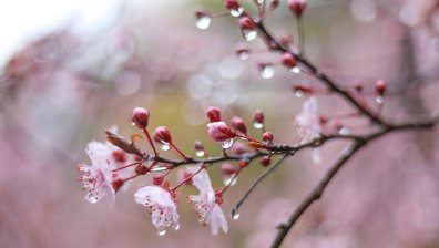 Времето във вторник: Валежи и температури до 13 градуса