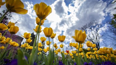 Времето тази седмица: Дъжд, сняг и повишена лавинна опасност